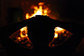 Bonfire at APEX/Sequitor