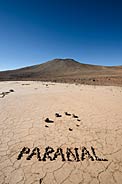 Paranal in Paranal