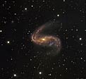 Distorted galaxy NGC 2442