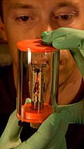 E-ELT Model Mirror Segment