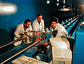 The VLT Interferometer