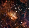 Stellar Titans of Pismis 24