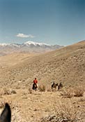 La Silla Site Search