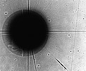 Comet Shoemaker-Levy 9