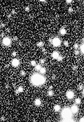 Supernova 1992C Progenitor