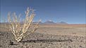 Landscape around the ALMA observatory (part 2)