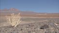 ALMA Operational Support Facility (part 1)