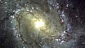 The Pinwheel Galaxy M83