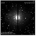 Light echoes in RS Pup