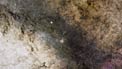 A voyage to the heart of the Milky Way