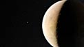 The unusual history of the asteroid Lutetia