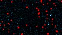 Confronto tra la visione delle galassie con formazione stellare nell'Universo primordiale con APEX e ALMA