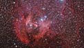 Zooming in on the stellar nursery IC 2944 and Thackeray's Globules