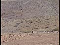 La Silla History 1992 (part 1)