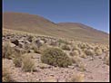 Video News Release 7: Impressions from the ESO Solar Eclipse Expedition in 1994