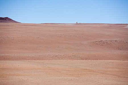 APEX Site