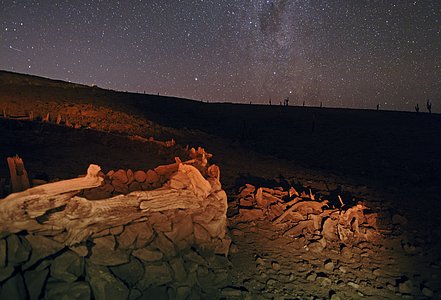 The ALMA Cultural Heritage Site
