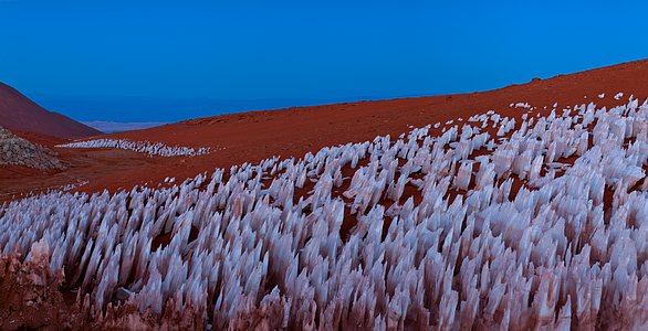 Atacama oddity