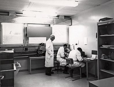 Work at the Atlas Laboratory