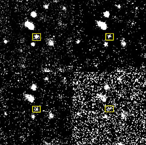 Brightness Decline of Nova in NGC 1316