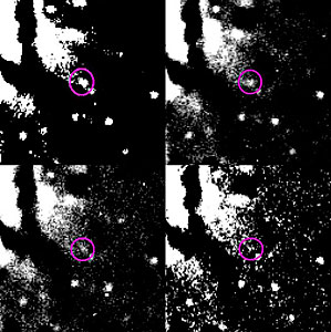 Brightness Decline of Nova in NGC 1316