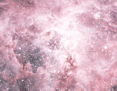 The Central Area of the Tarantula Nebula