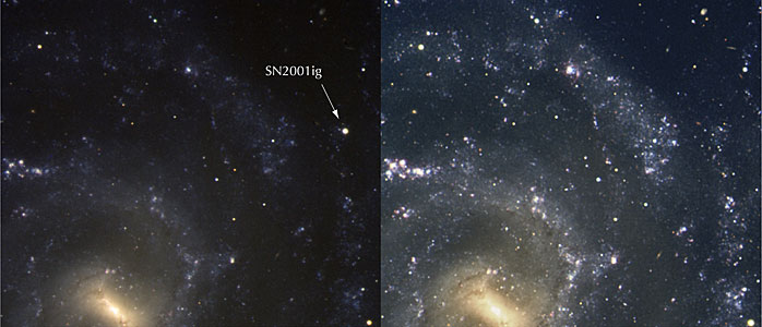 Spiral Galaxy NGC 7424 and SN2001ig