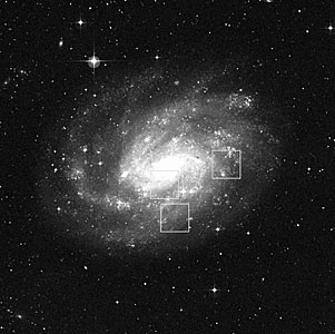 Observed Fields in NGC 300