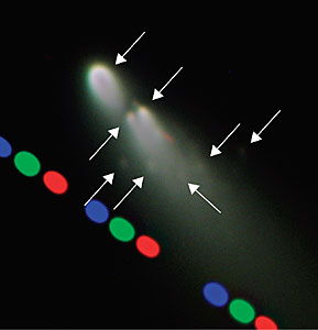 Mini-Comets coming off Comet SW-3