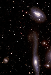 The Hooked Galaxy and its Companion