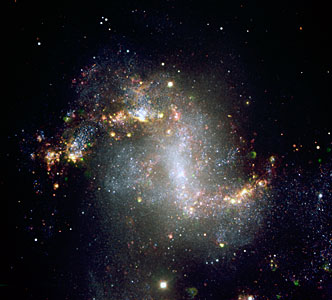 The Topsy-Turvy Galaxy NGC 1313*
