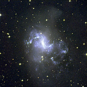 Larger Field around NGC 1313