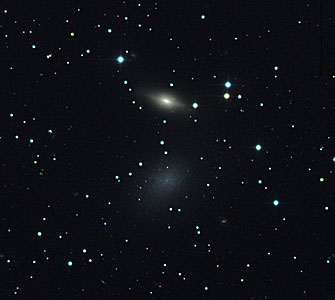 The Overlooked Dwarf and its Apparent Companion