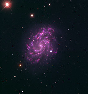 The Spiral Galaxy NGC 5584 and SN 2007af