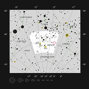 The young star HD 100546 in the southern constellation of Musca