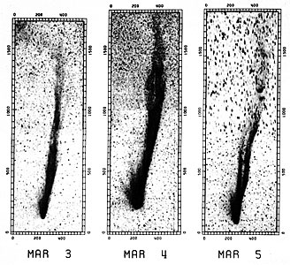 Comet Halley's CO tails