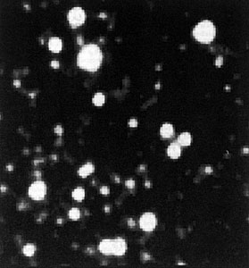 Globular cluster Centauri observed with the ESO NTT