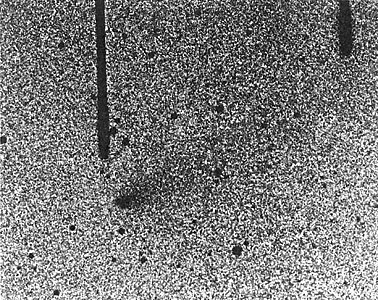 Image of comet "P/West-Hartley (1989k)"