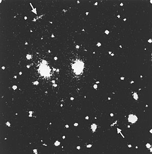 Bright X-Ray Cluster Acts As Strong Gravitational Lens