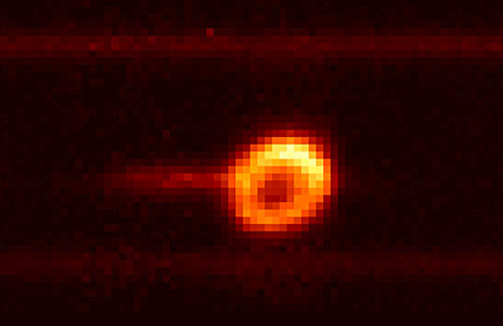 The Birth of a Supernova Remnant