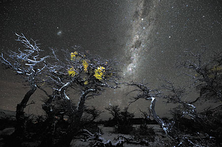 Winter starry landscape