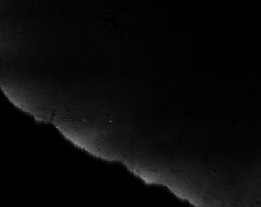 A Halley's Comet Photographic Plate