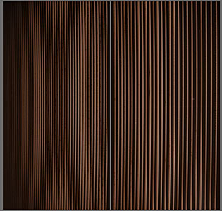 A raw spectrum, straight from the HARPS