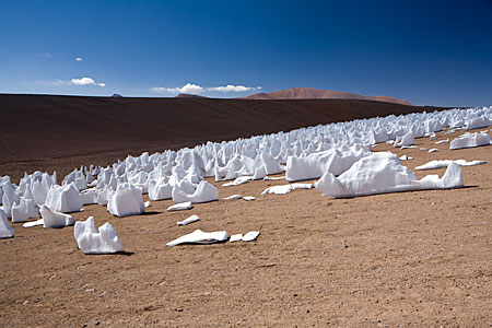 The White Penitents*