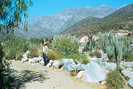 La Silla Site Search