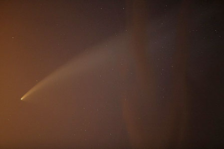 Comet McNaught