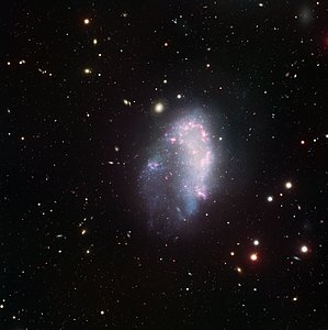 A Dwarf in the Fornax Cluster