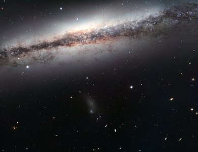The Oddest Member of the Leo Triplet