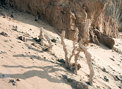 Salty Sculpture
