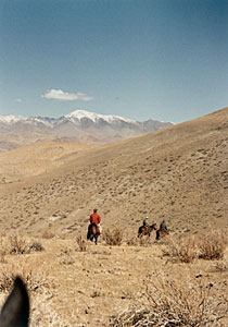 La Silla Site Search